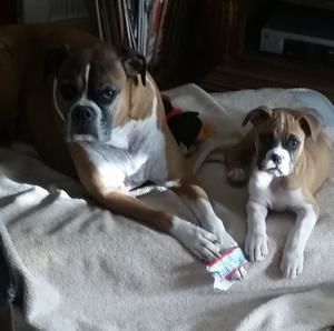 Meet your Posher, Corey